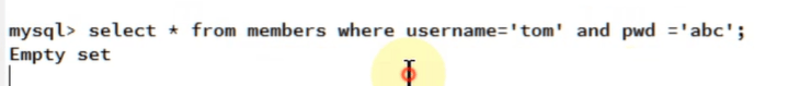 image-20241230203012098